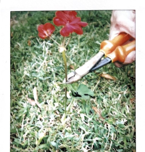 Brooks