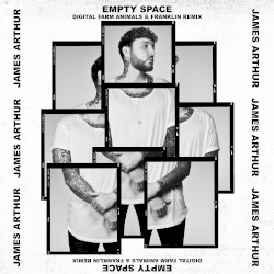 Empty Space (Digital Farm Animals & Franklin remix)