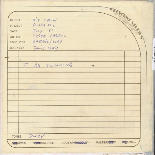 I Go Swimming (studio rough mix)