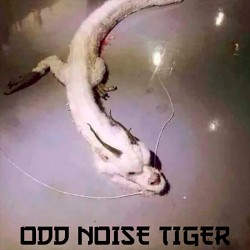 Odd Noise Tiger