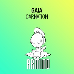 Carnation