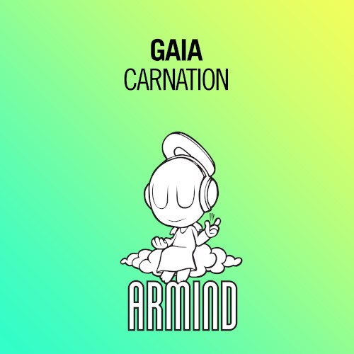 Carnation