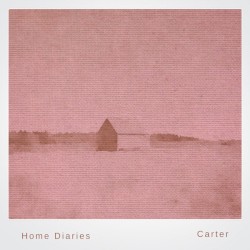 Home Diaries 026