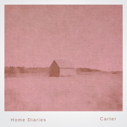 Home Diaries 026