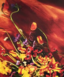 Flowers in the Dirt