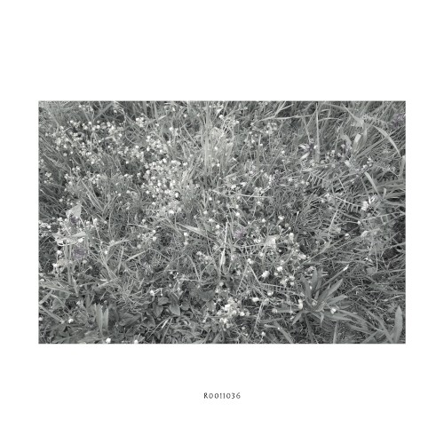 R0011036