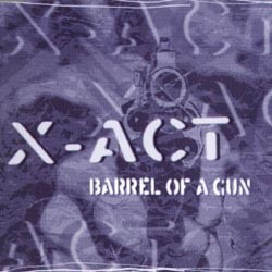 Barrel of a Gun