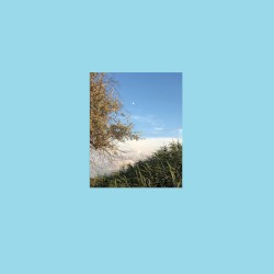 Ambience