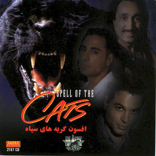 Afsoon (Spell Of The Cats)