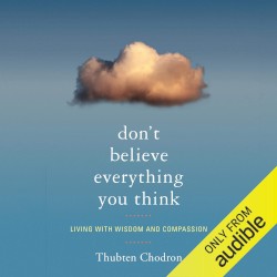 Don't Believe Everything You Think: Living With Wisdom and Compassion