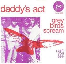 Grey Birds Scream