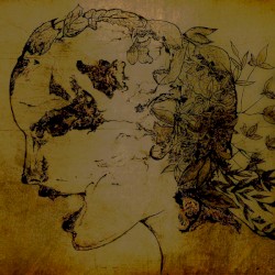 Of Aging Stones and Rotting Leaves