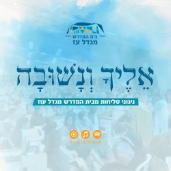 אליך ונשובה