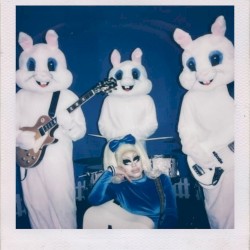 White Rabbit