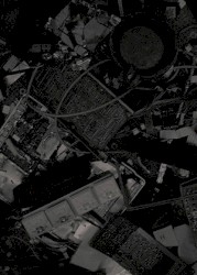 Fields Of Waste