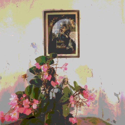 SPORE 001
