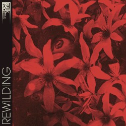Rewilding