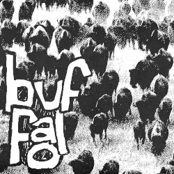 Buffalo