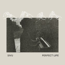 Perfect Life