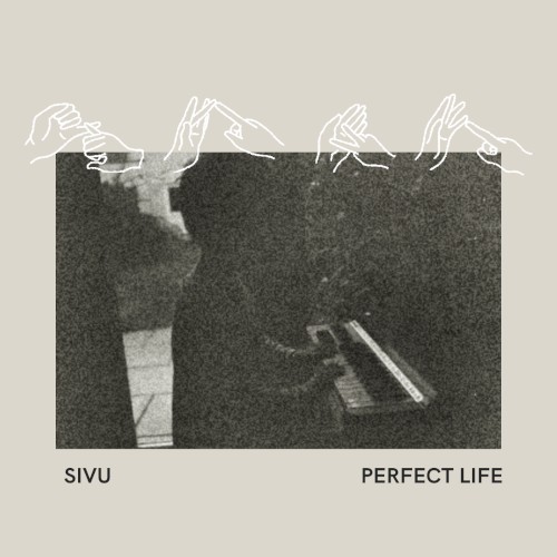 Perfect Life
