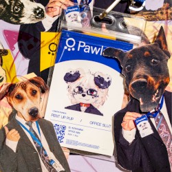 IM A PUPPY NOT A POLTICIAN