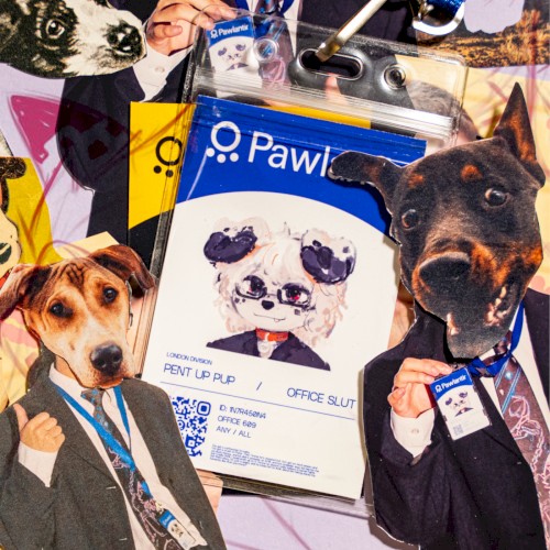 IM A PUPPY NOT A POLTICIAN
