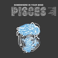 Somewhere in Your Mind