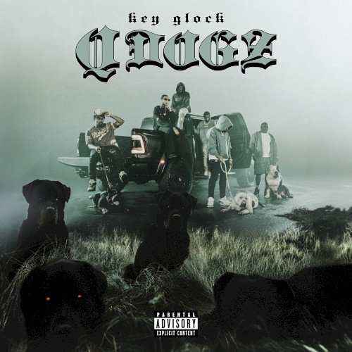 Q-Dogz