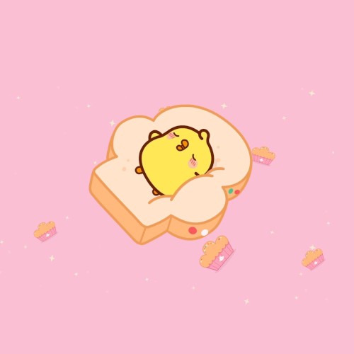 BREAD DREAMS