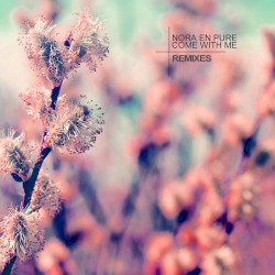 Come With Me (remixes)