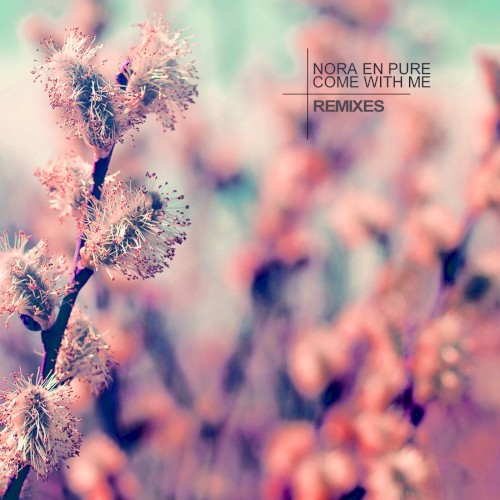 Come With Me (remixes)