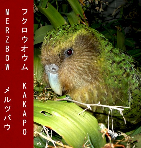 Kakapo