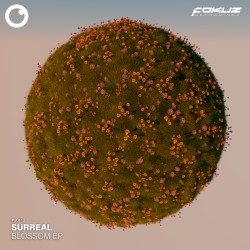 Blossom EP