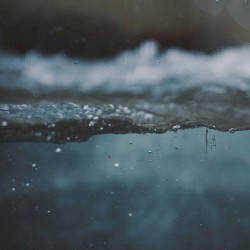 Blue-Gray