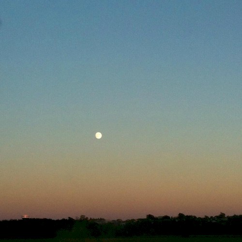 Untitled VIII