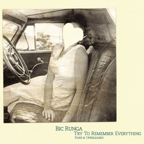 Try to Remember Everything