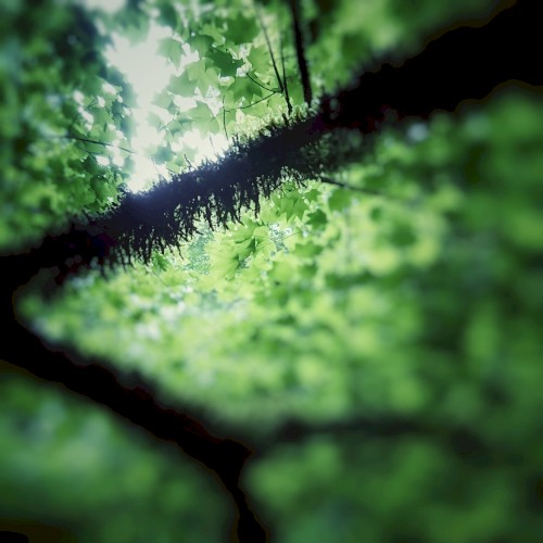 In the Changing Seasons Ⅱ