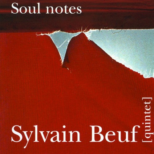 Soul notes