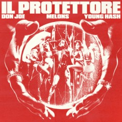 Il protettore