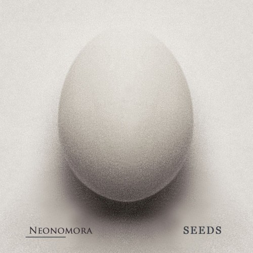 Seeds