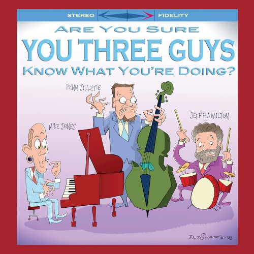 Are You Sure You Three Guys Know What You’re Doing?