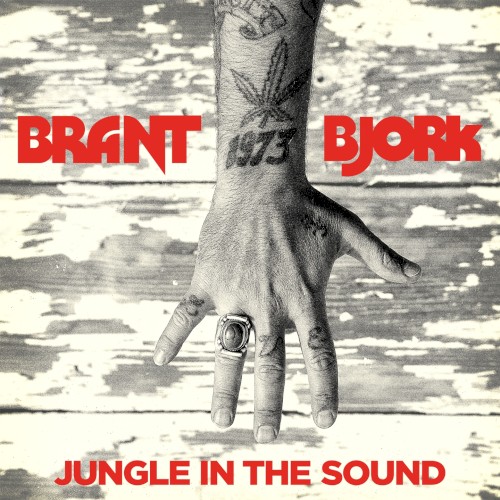 Jungle in the Sound