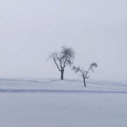 Snowfall