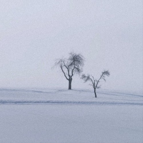 Snowfall