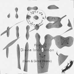 Divine Intervention (GUM & Ginoli remix)