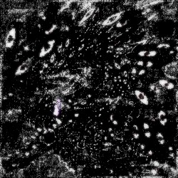 [untitled]