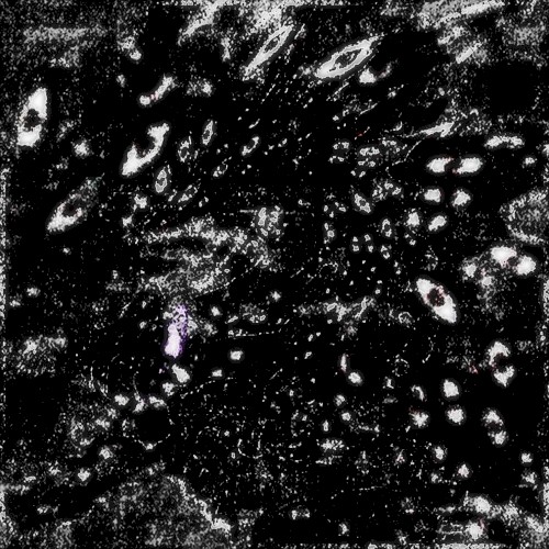 [untitled]