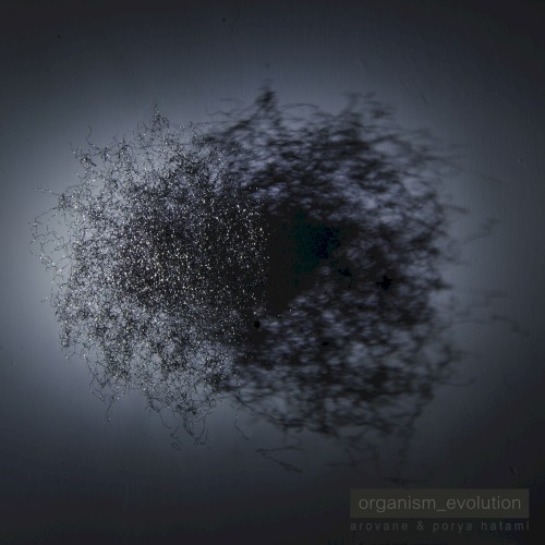 Organism_evolution