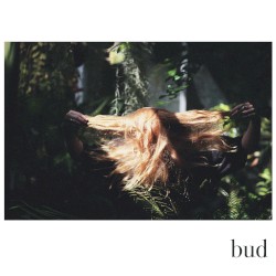 Bud