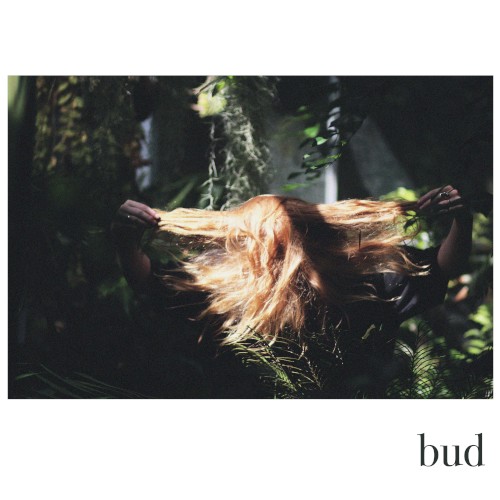 Bud